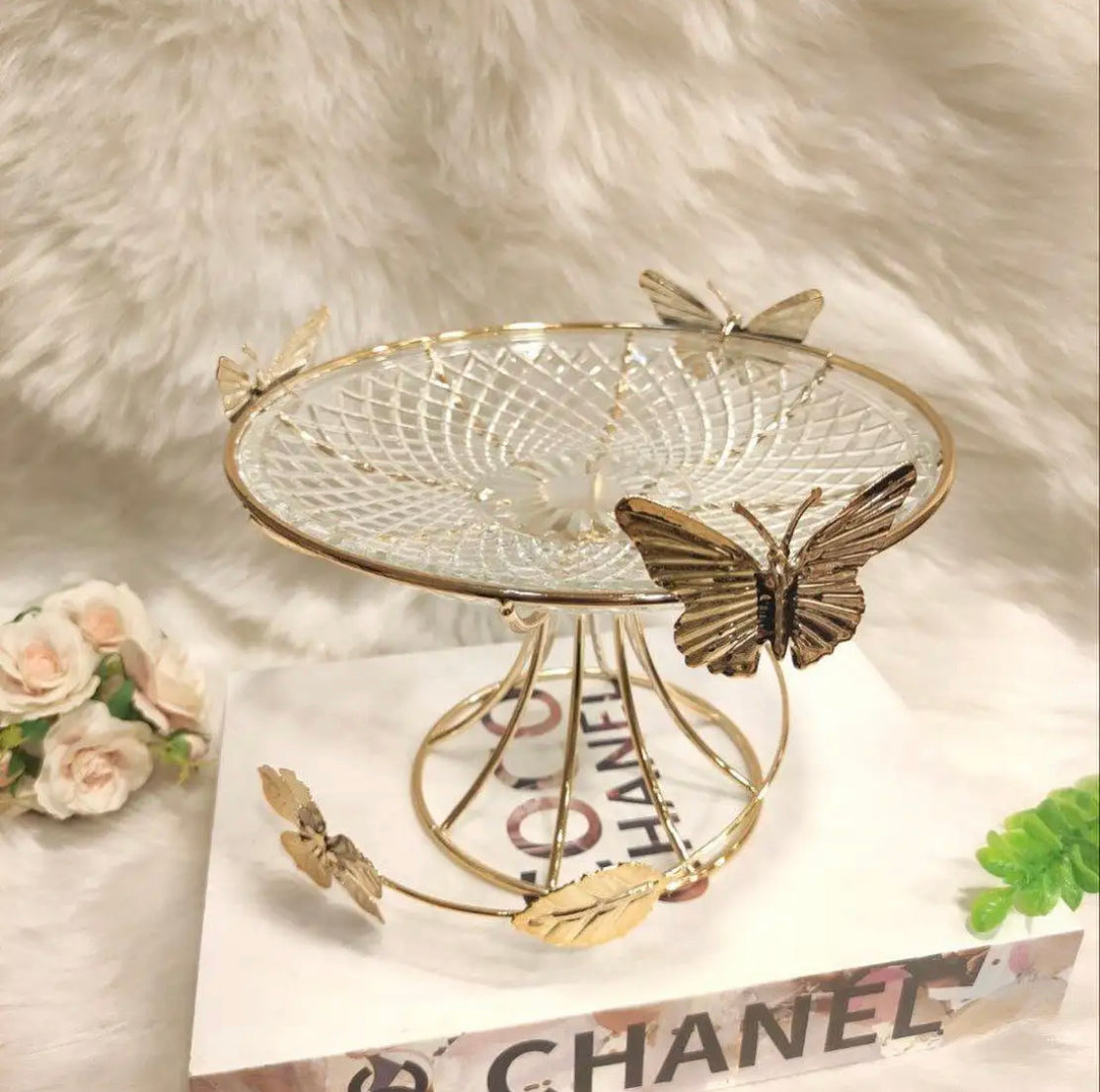 استند تقديم فراشة