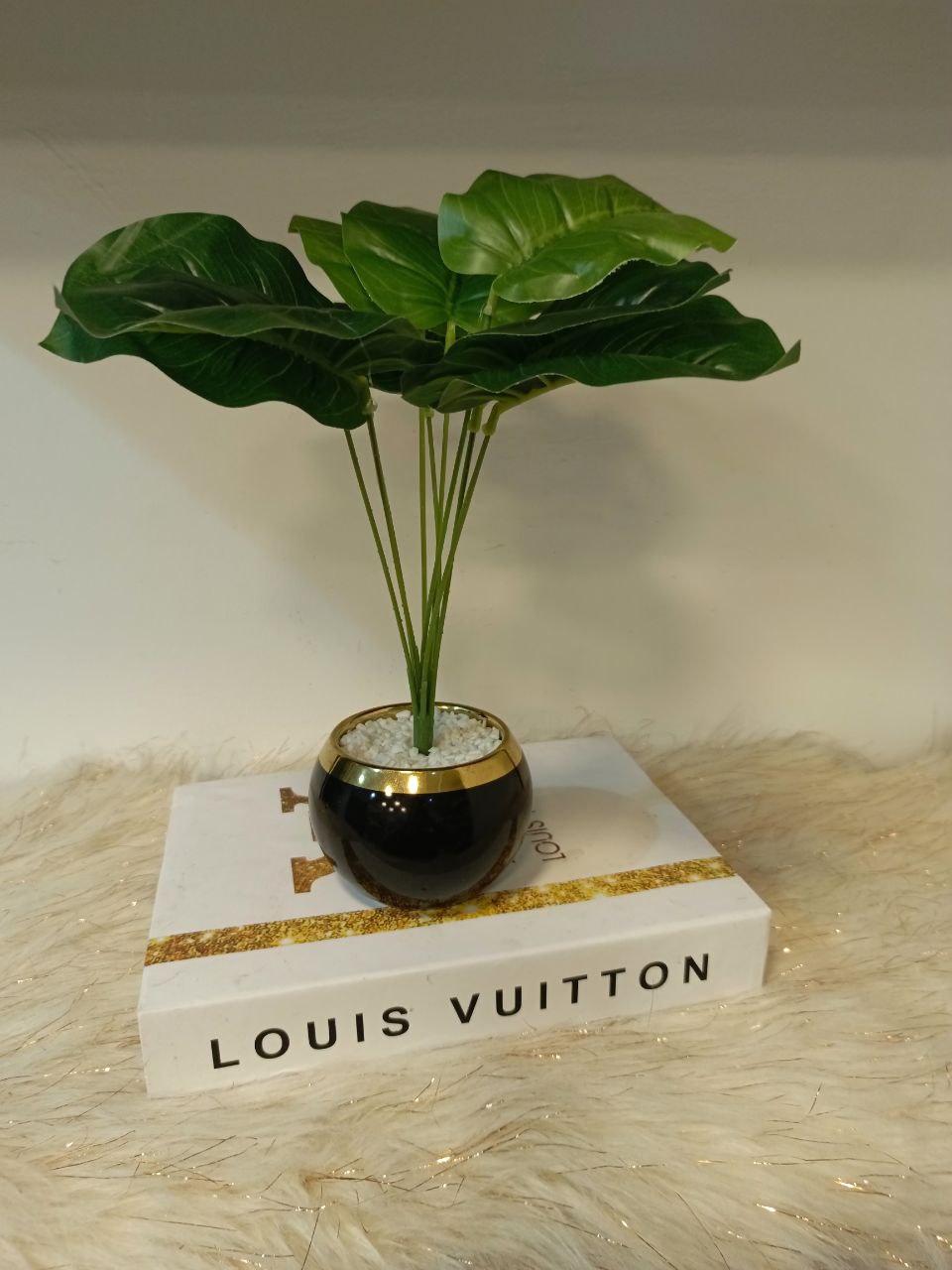 بوت زرع بورسلين