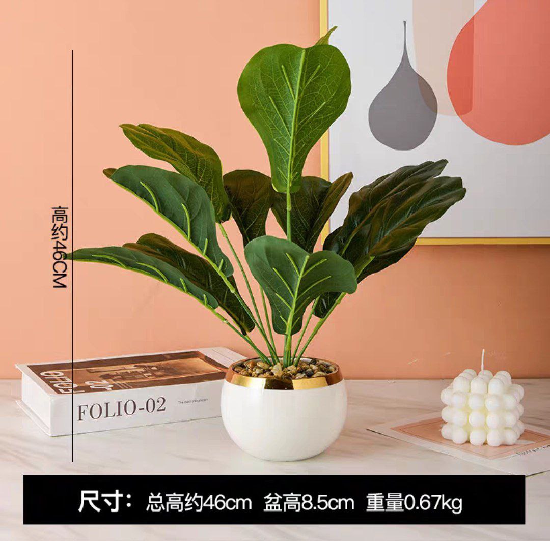 بوت بورسلين