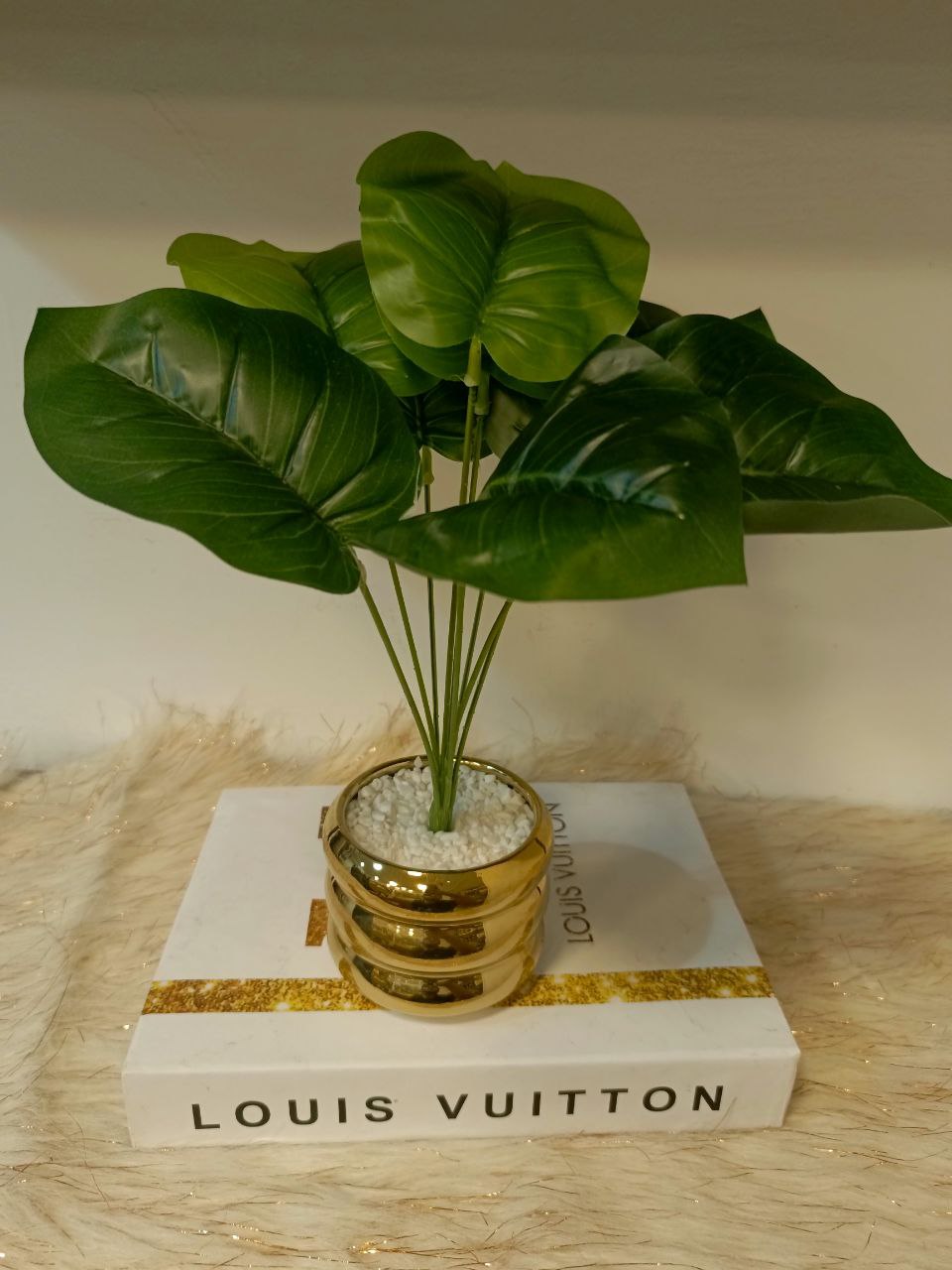 بوت بورسلين